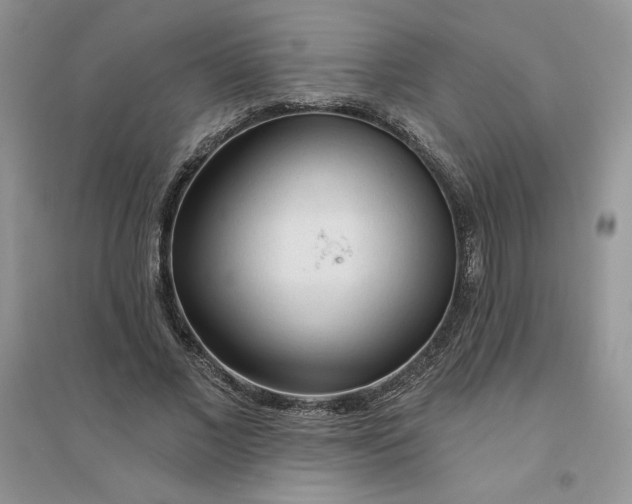 X0000096170685200802081412