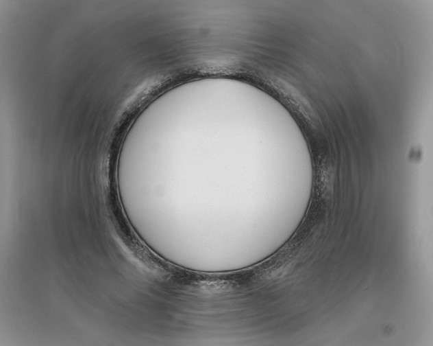 X0000096170686200802081412