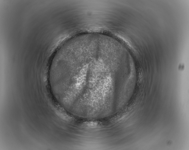 X0000096170687200802081412