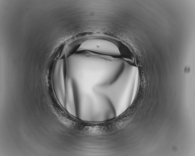 X0000096170688200802081412