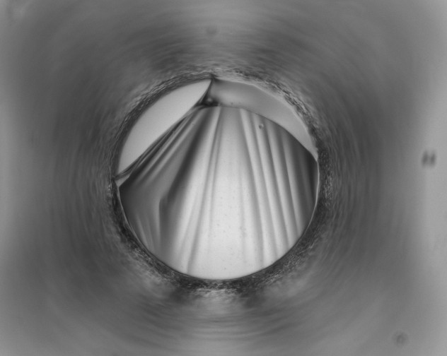 X0000096170689200802081412