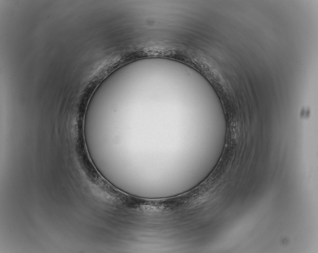 X0000096170690200802081412