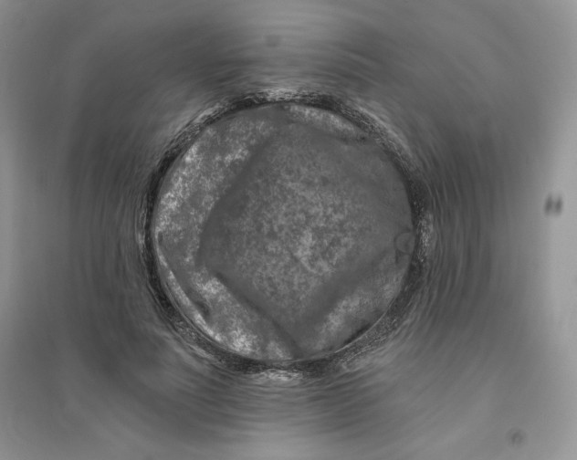 X0000096170691200802081412