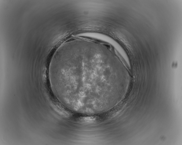 X0000096170692200802081412