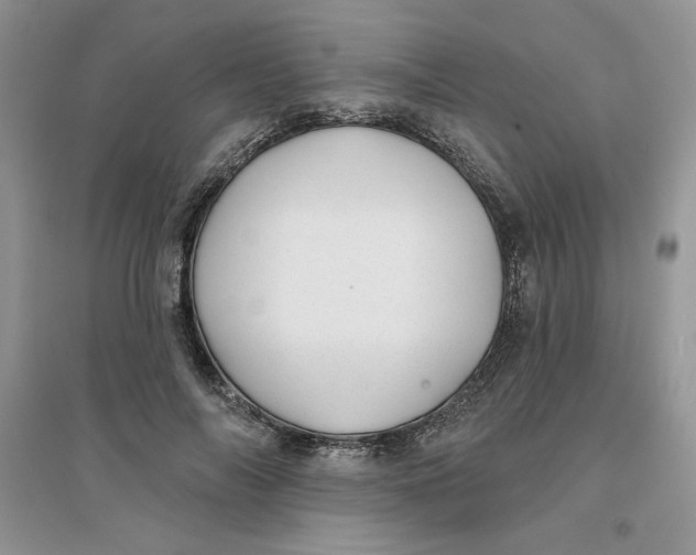 X0000096170694200802081412