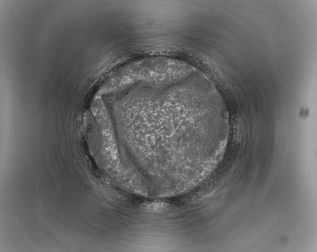 X0000096170695200802081412