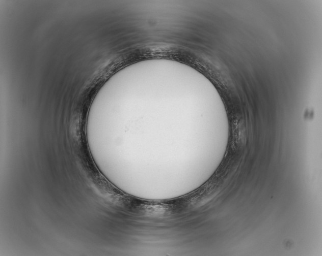 X0000096170698200802081412