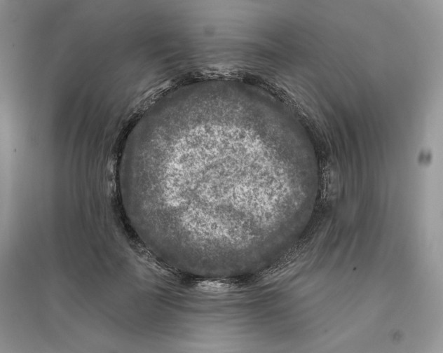 X0000096170699200802081412