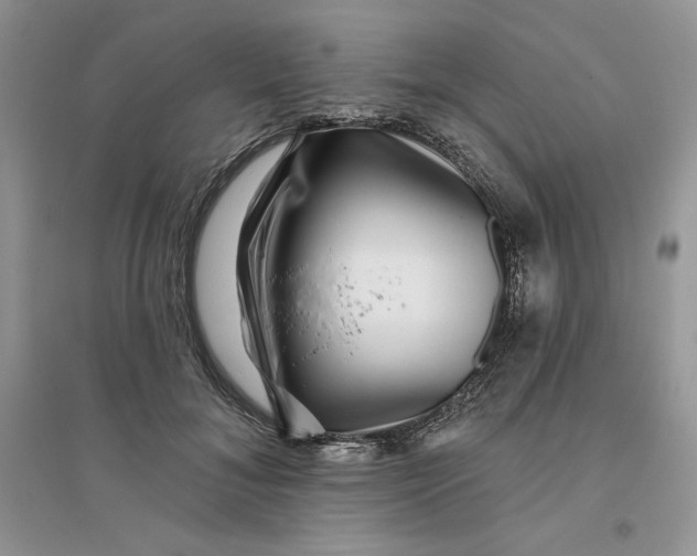 X0000096170700200802081411