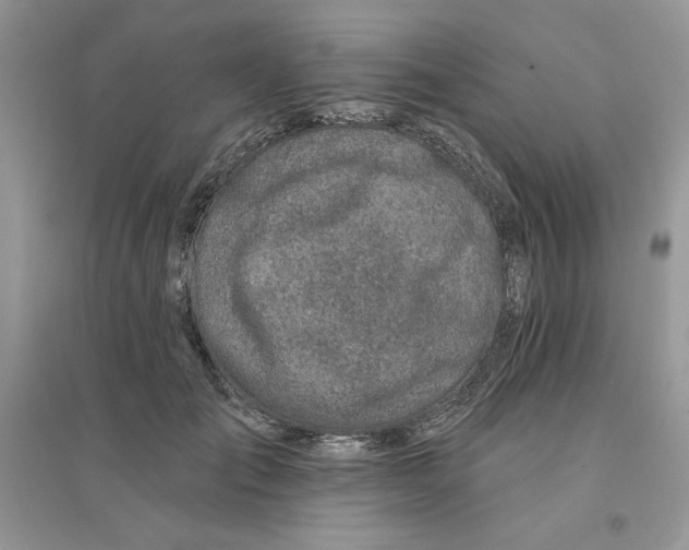 X0000096170701200802081411