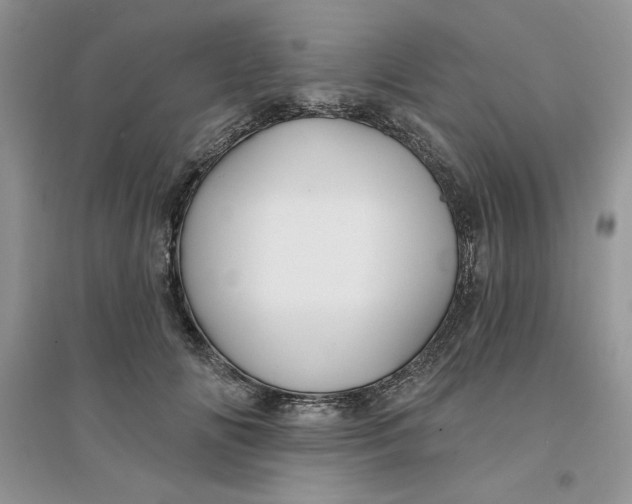 X0000096170702200802081411