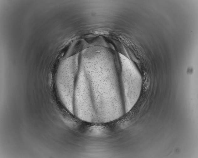 X0000096170704200802081411