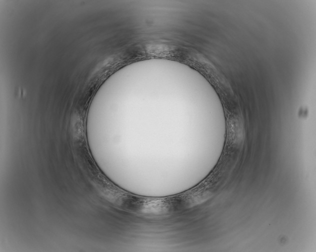 X0000096170705200802081411