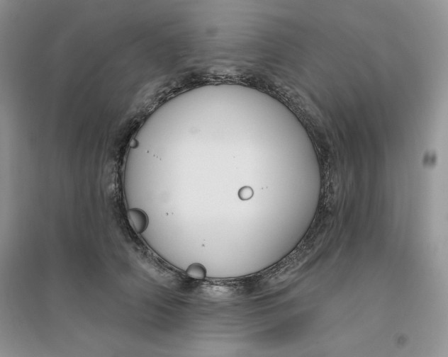 X0000096170706200802081411