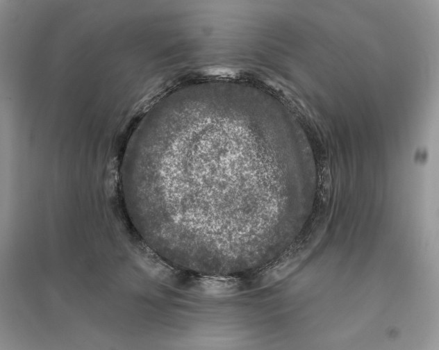 X0000096170707200802081411