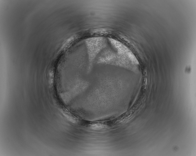 X0000096170708200802081411