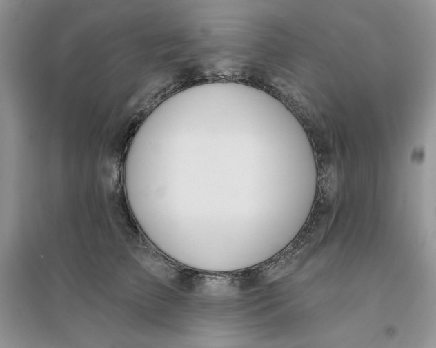 X0000096170709200802081411