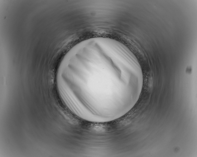 X0000096170710200802081411