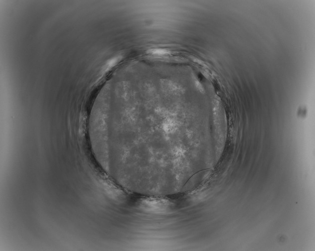 X0000096170712200802081411