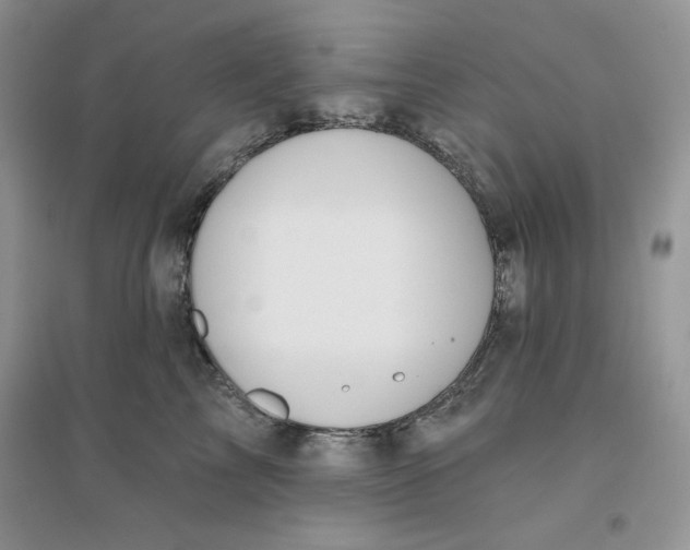 X0000096170713200802081411