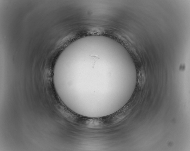 X0000096170714200802081411