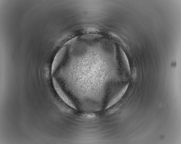 X0000096170715200802081411