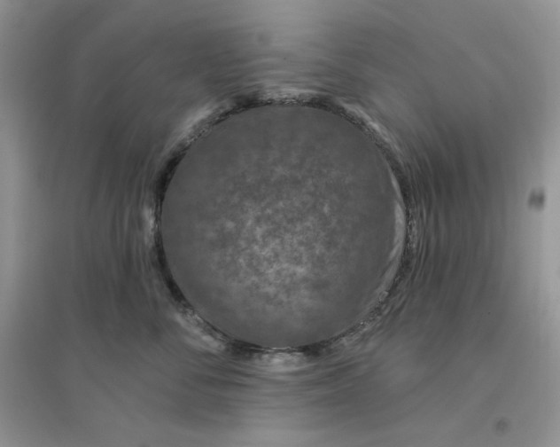 X0000096170716200802081411