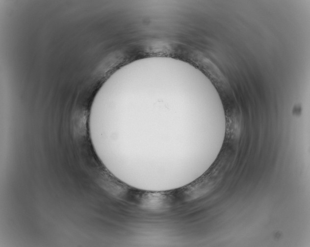 X0000096170717200802081411