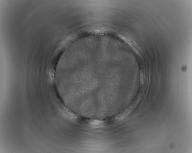 X0000096170718200802081411