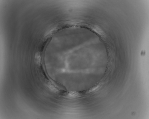 X0000096170720200802081411