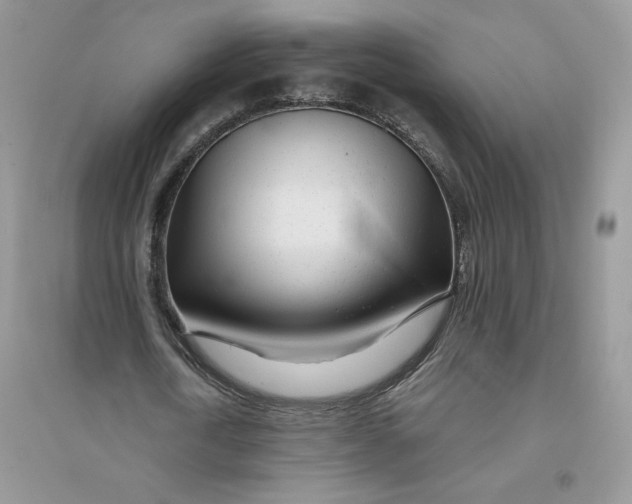 X0000096170722200802081411