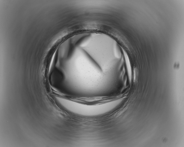 X0000096170723200802081411