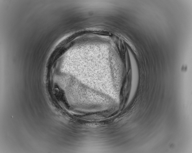 X0000096170724200802081411