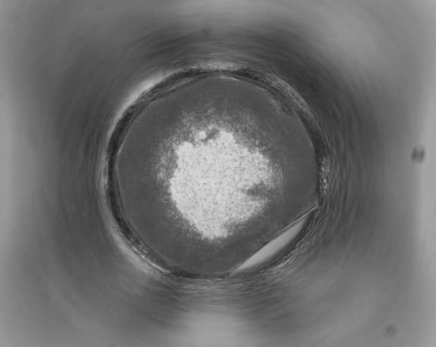 X0000096170726200802081411