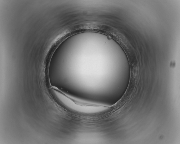 X0000096170727200802081411