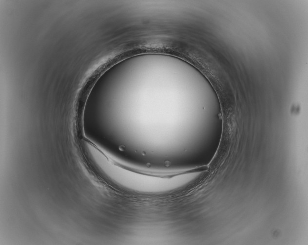 X0000096170728200802081411