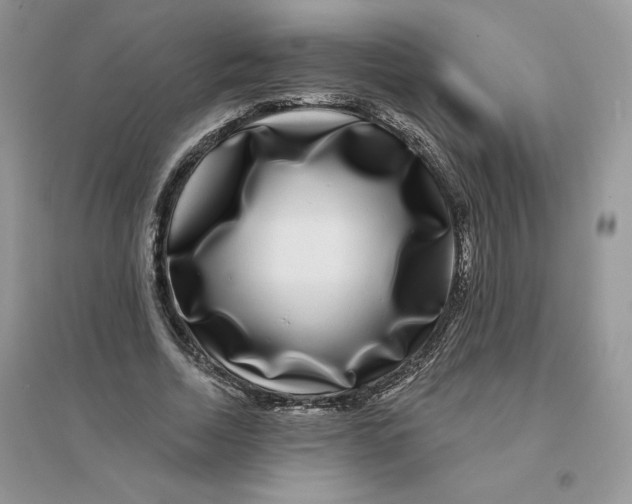 X0000096170730200802081411