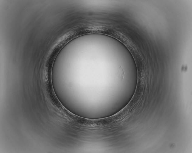 X0000096170731200802081411