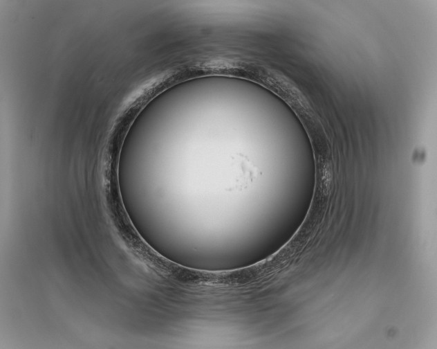 X0000096170732200802081411