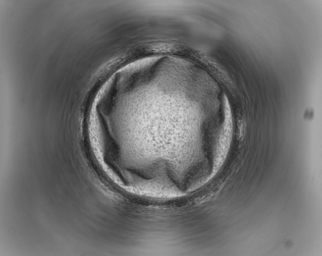 X0000096170733200802081411