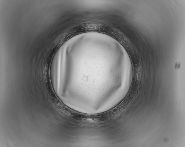 X0000096170737200802081411