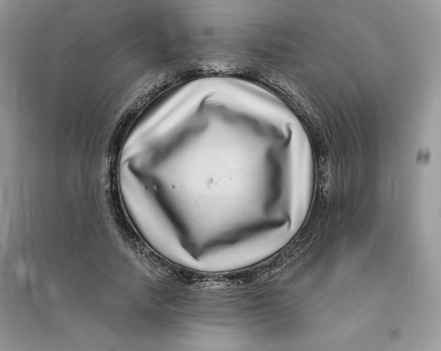 X0000096170738200802081411