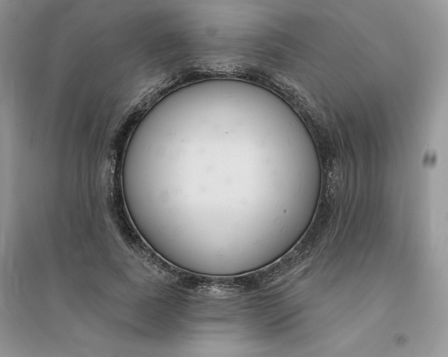 X0000096170739200802081411