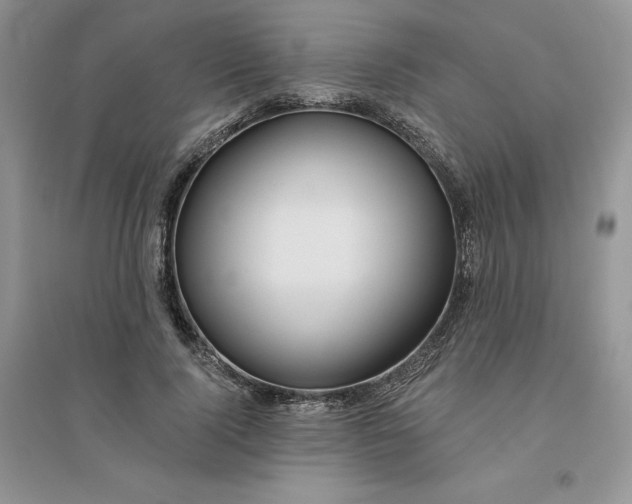 X0000096170740200802081411