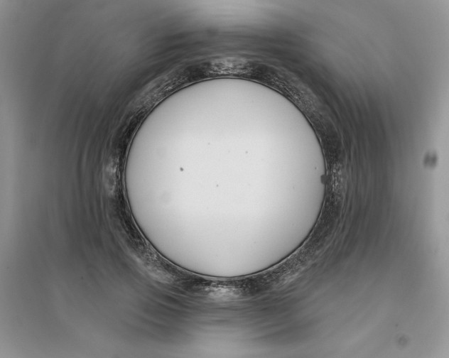 X0000096170741200802081411