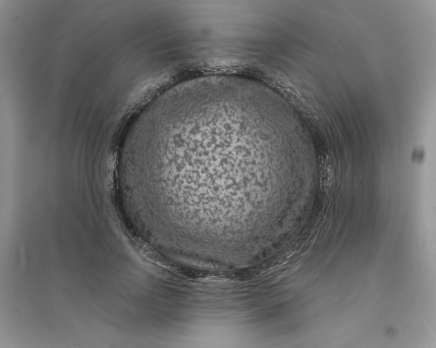 X0000096170742200802081411