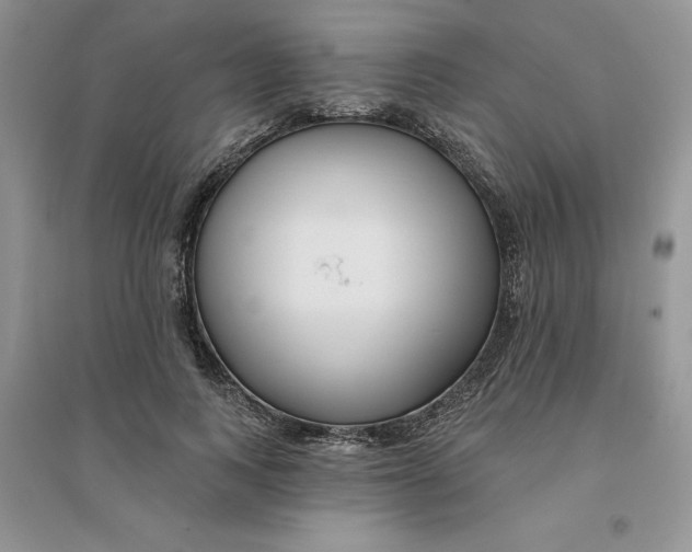 X0000096170743200802081411