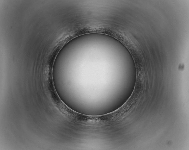 X0000096170744200802081411