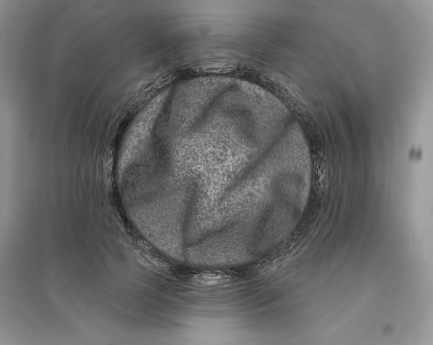 X0000096170745200802081411