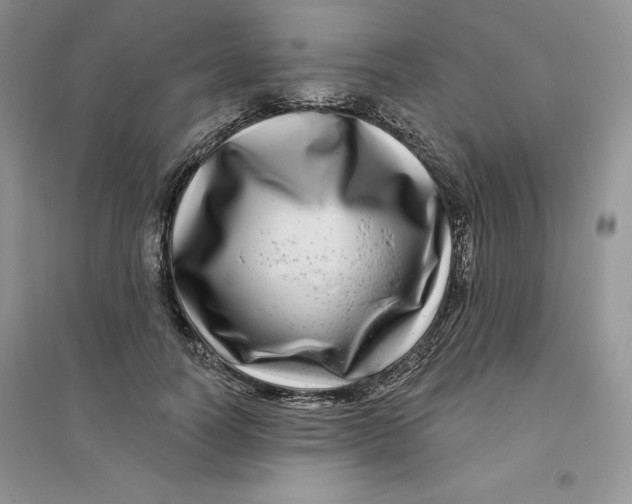 X0000096170746200802081411